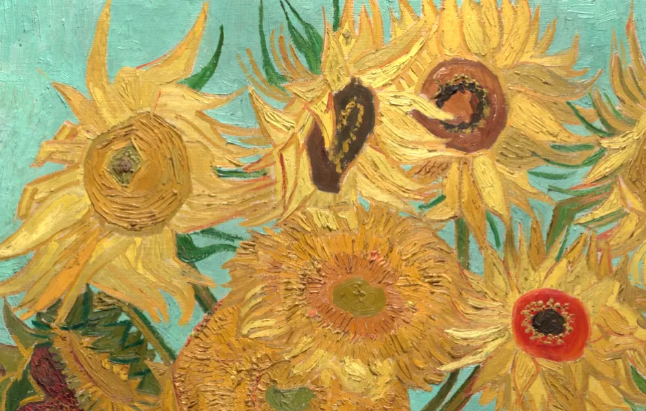 Detailed picture of the Sunflowers
