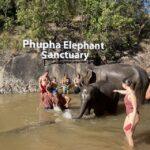 Chiang Mai: Waterfall, Elephant Sanctuary and Bamboo Rafting