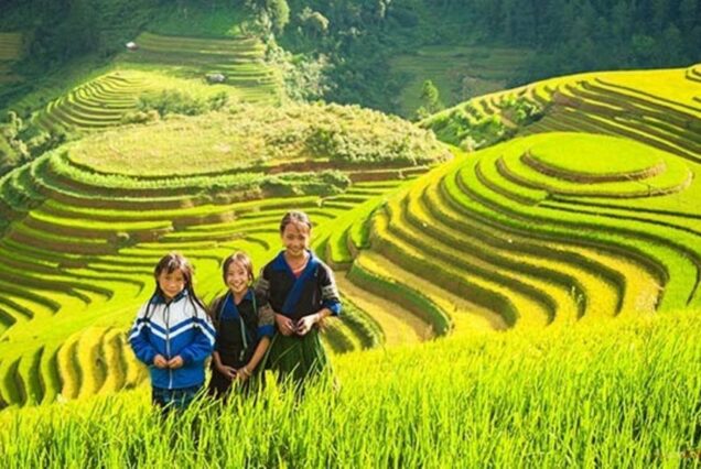 Muong Hoa Valley Trek and Local Ethnic Villages Tour