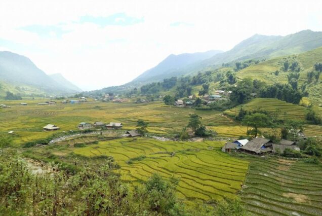 Muong Hoa Valley Trek and Local Ethnic Villages Tour