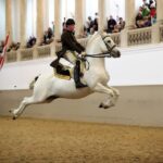 Performance Of The Lipizzans At Spanish Riding School