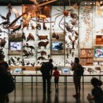 New York City: Visit American Museum of Natural History Ticket Entrance