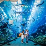 Dubai, Aquarium & Underwater Zoo Day Entry Ticket