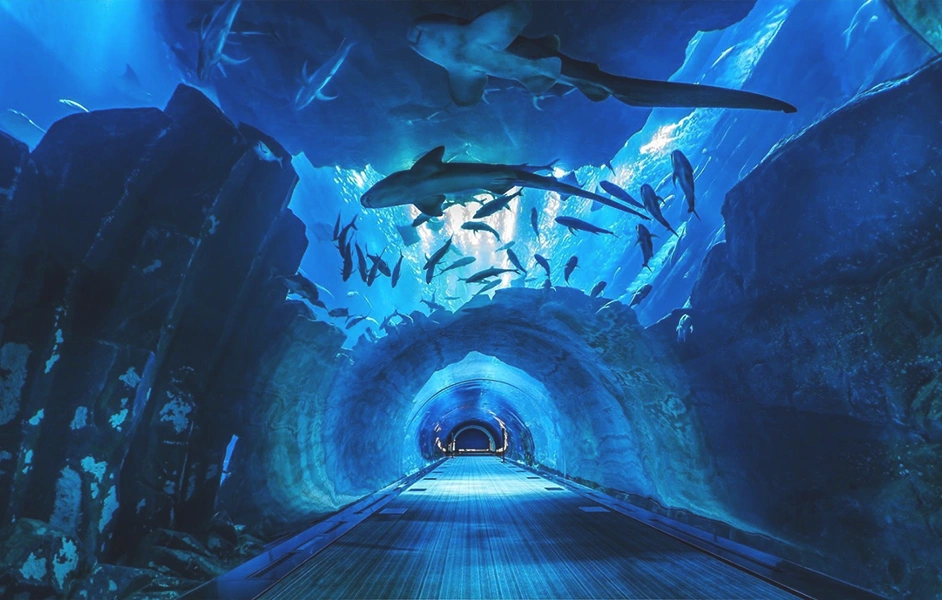Dubai Aquarium