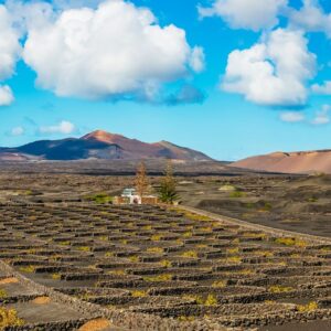 Arrecife: Timanfaya Park & Green Lagoon Shore Excursion
