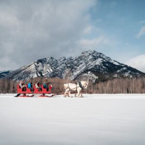 Banff: Horse-Drawn Sleigh Ride
