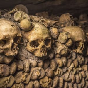Paris Catacombs & Seine River Cruise Combo Tour