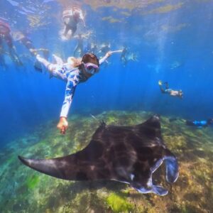 Bali: Swim with Manta Rays in Nusa Penida tickets
