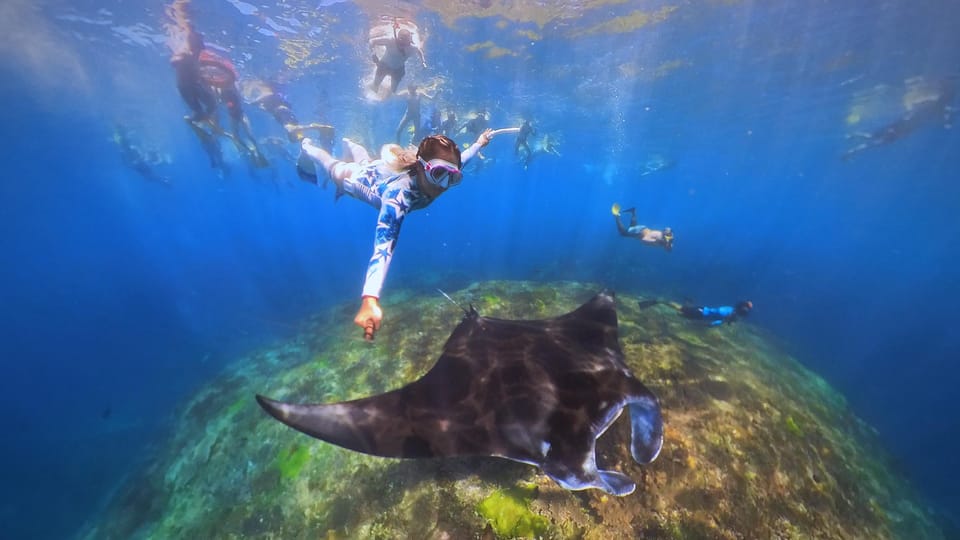 Bali: Swim with Manta Rays in Nusa Penida tickets