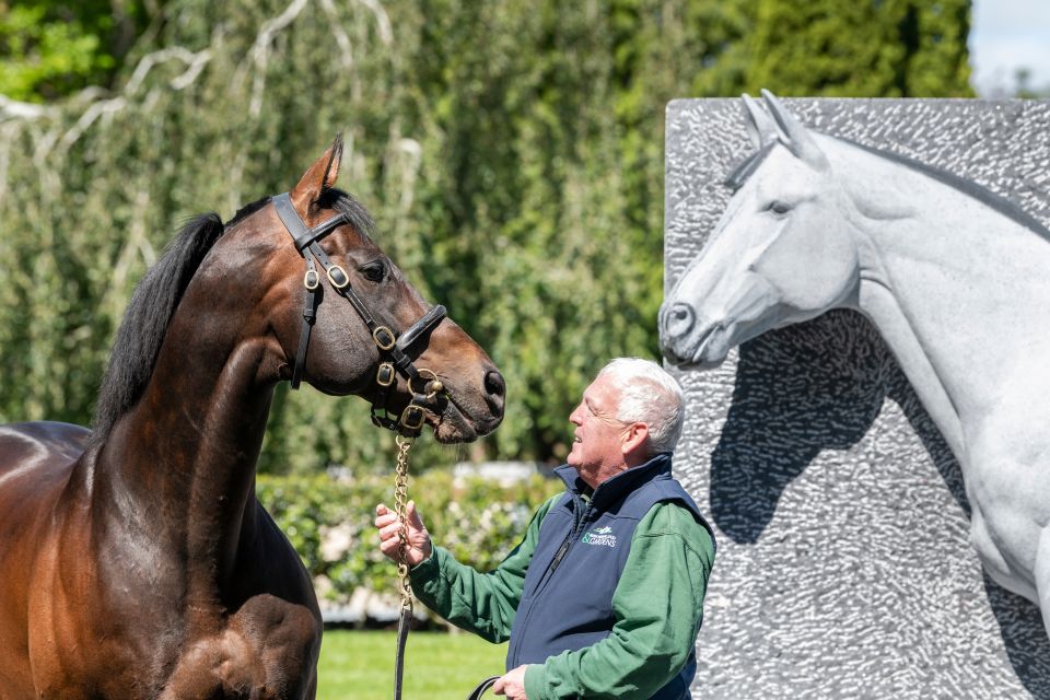 Kildare: Irish National Stud & Gardens Racehorse Experience