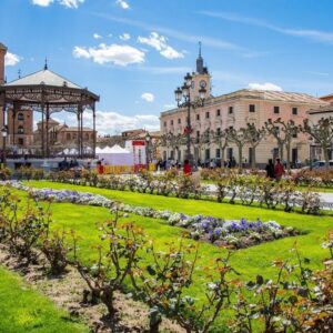 Half-Day Trip from Madrid: Alcala de Henares & Winery Visit