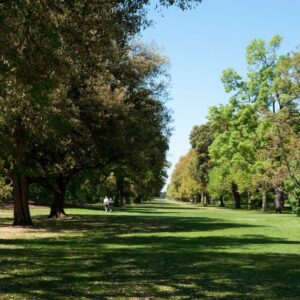 London: Skip-the-Line Ticket to Kew Gardens