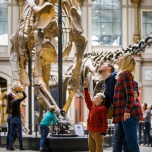 Berlin: Natural History Museum Entry Ticket
