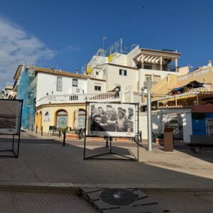 From Albir & Benidorm: Calpe Old Town and Port Day Trip