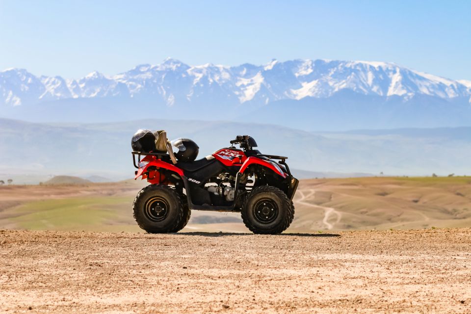 Marrakech Quad Bike Experience: Desert and Palmeraie