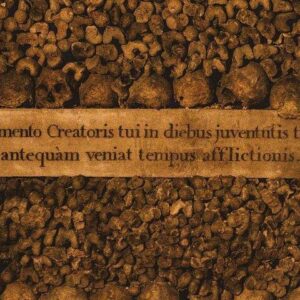 Paris Catacombs Access Tickets with Host