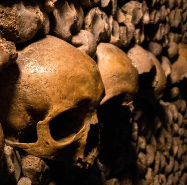  Paris Catacomb