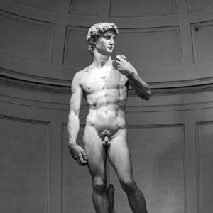 Michelangelo's David timed entry ticket : Florence