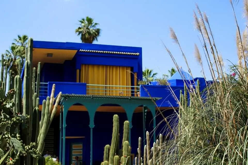 Majorelle Garden Oasis: Explore Marrakesh’s Botanical Masterpiece