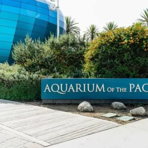 LA: Skip-the-Line Entrance Of Aquarium of the Pacific