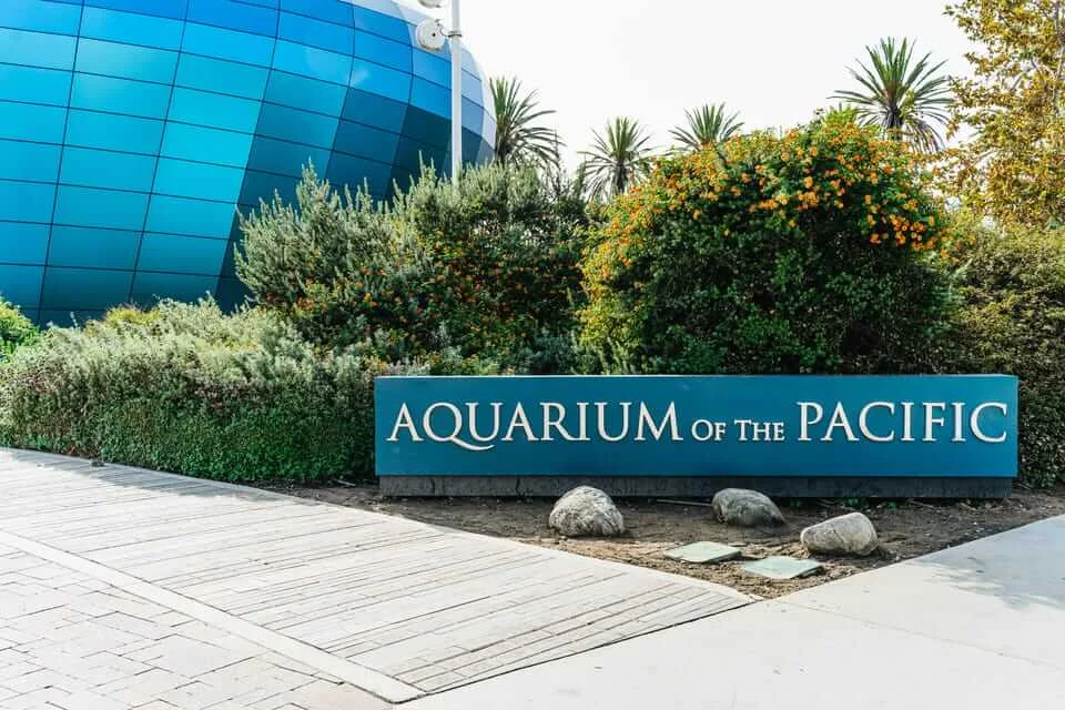 LA: Skip-the-Line Entrance Of Aquarium of the Pacific