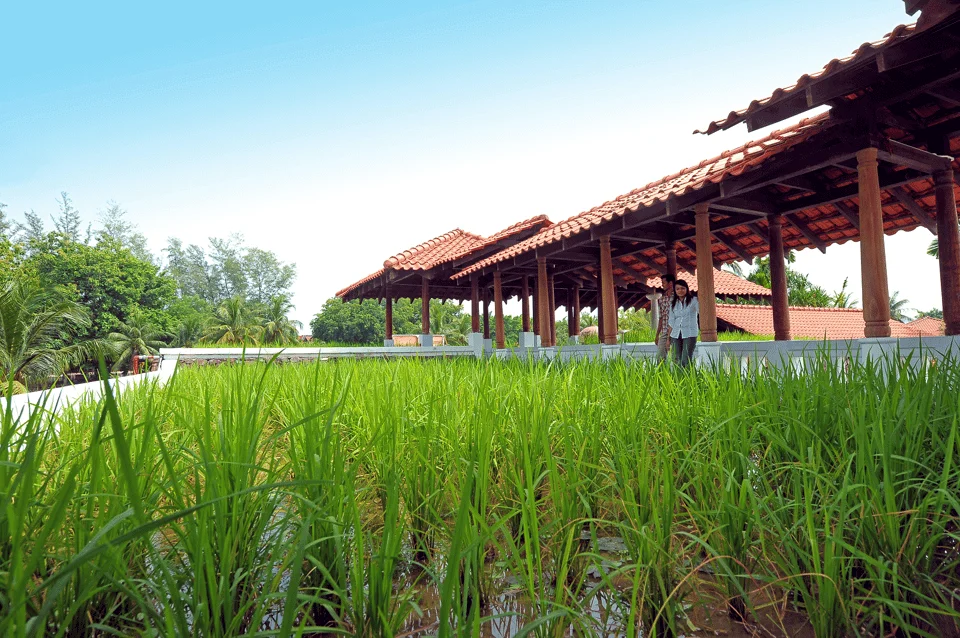 Langkawi Private Adventure: Sky Bridge, Cable Car & Island Highlights