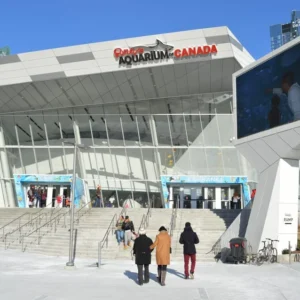 Toronto: Ripley's Aquarium of Canada Reserved Access Tickets