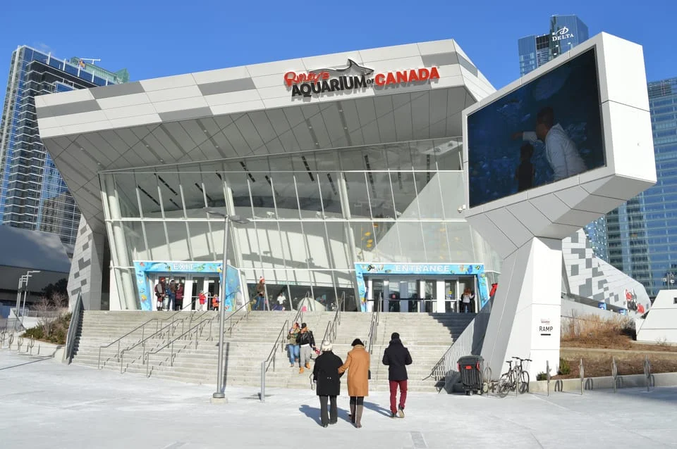 Toronto: Ripley’s Aquarium of Canada Reserved Access Tickets