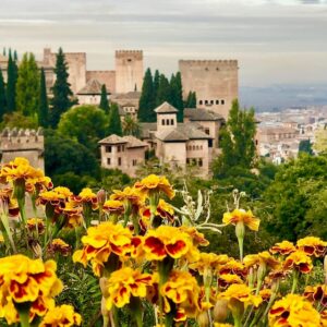 Alhambra Guided Tour: Fast-Track Entry & Exclusive Small Group Experience