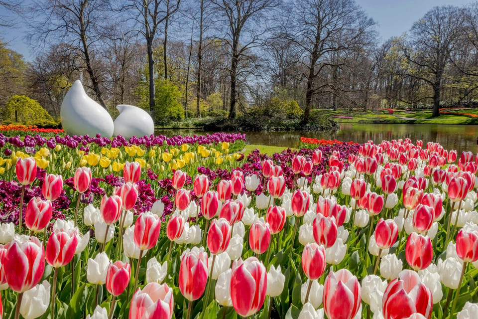 Amsterdam: Keukenhof Gardens Adventure With Flexible Shuttle Transfer