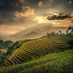 Indonesia