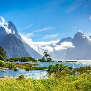 New Zealand