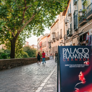 A one-hour flamenco performance at Granada's Palacio Flamenco