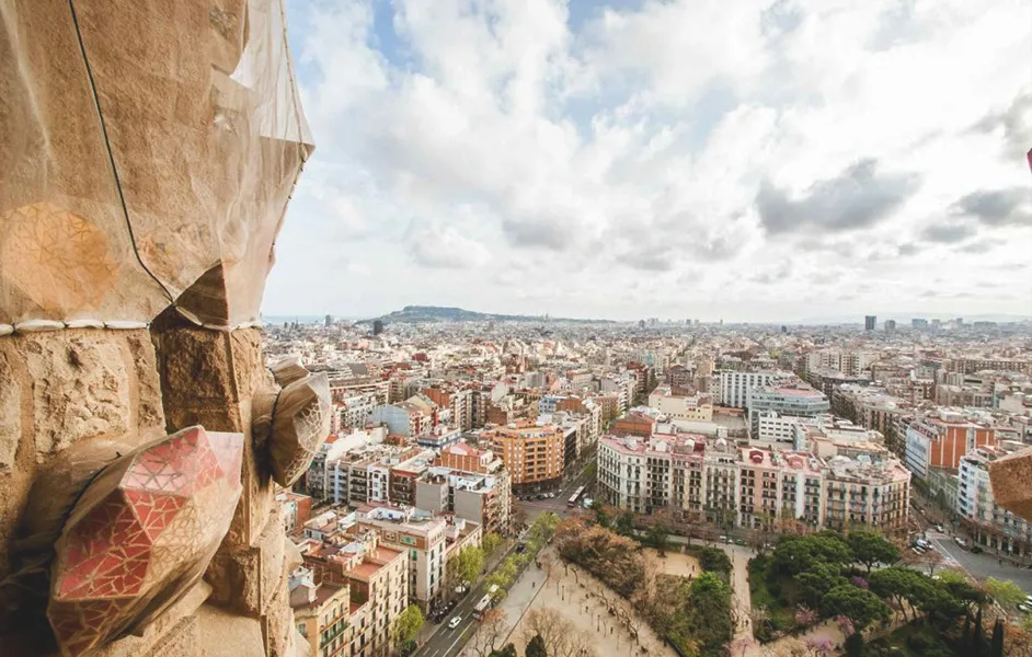 Special Considerations & Exceptions