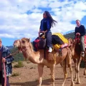 Marrakesh: Atlas Mountains, Ourika Waterfalls, Guide, and Lunch