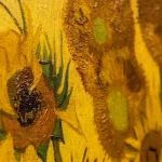 What to See at the Van Gogh Museum? 