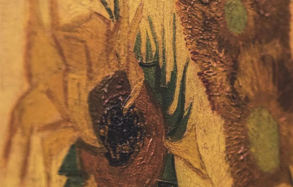 Close-up of Sunflowers van gogh museum faq
